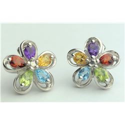 Stunning Multi Color Earrings