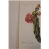 Image 2 : Hand Signed 1961 Litho Helen O'Gorman
