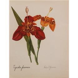 Vintage 1900s Lithograph