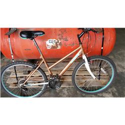 GOLD OZARK TRAIL BIKE