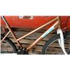 Image 2 : GOLD OZARK TRAIL BIKE