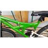 Image 2 : GREEN KAWASAKI BIKE
