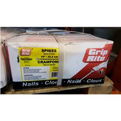 22KG CASE 10 INCH SPIRAL SPIKES
