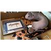 Image 3 : BOX OF CAT DECOR AND PRINTS