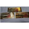 Image 2 : 3 GOLD FOIL EURO NOTES