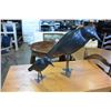 Image 1 : 2 METAL BIRDS