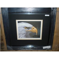 BALD EAGLE LEP BY RANDY FEHR 24095