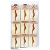 Image 1 : LOT OF 9 PANTYHOSE SIZE QUEEN