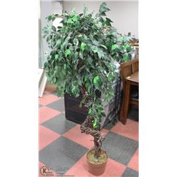 ARTIFICIAL FIG TREE WITH MINI LIGHTS - 5FT TALL.