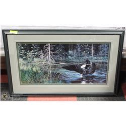 R. KISS LOON PRINT FRAMED 214/380.