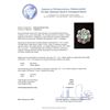 Image 5 : 14KT White Gold 2.96 ctw Emerald and Diamond Ring