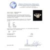 Image 5 : 0.72 ctw Diamond Ring - 14KT White Gold