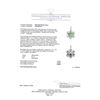 Image 3 : 2.27 ctw Paraiba Tourmaline And Diamond Pendant - 14KT White Gold