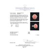 Image 5 : 6.50 ctw Pink Coral and Diamond Ring - 14KT White Gold
