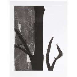 Donald Newman, Temptation, Etching