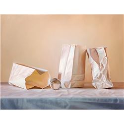 Gustavo Schmidt, Paper Bags, Oil Painting with Varnish