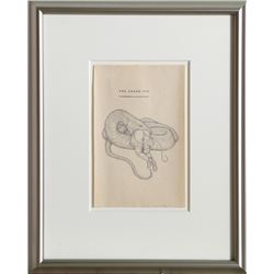 Michelle Rollman, The Snake Pit, Graphite Drawing