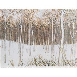 Ruth Dicker, Snow Birch: Exhibition, Poster