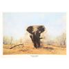Image 1 : Guy Coheleach, Charging Elephant, Lithograph