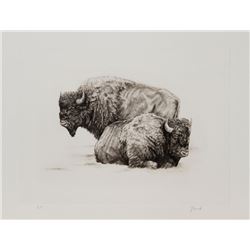 Joseph Vance, American Buffalo, Etching