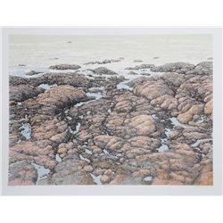 Peter Holbrook, Surf Point, Serigraph