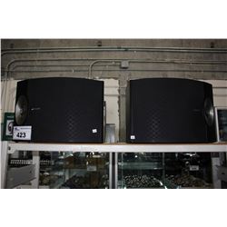 BOSE 301V 2.0 SPEAKER SYSTEM