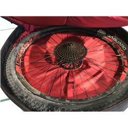 PAIR OF VITTORIA SAGUARO BIKE TIRES ON RIMS IN RUSTER CASE
