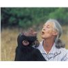 Image 3 : Jane Goodall and David Attenborough