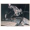 Image 1 : Ron Evans