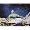 Image 1 : Creature From the Black Lagoon: Ricou Browning