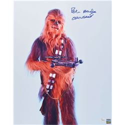 Star Wars: Peter Mayhew