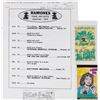 Image 1 : CJ Ramone's 1995 Ramones and Pearl Jam Tour Itinerary and Backstage Passes