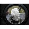 Image 4 : 2005 Proof Silver Dollar