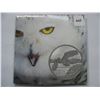 Image 1 : 2014 Canadian $50.00 Silver Coin - Snowy Owl