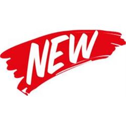 NEW AUCTION FORMAT