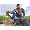 Image 2 : #WED-06 Alligator Hunt, Louisiana