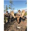 Image 1 : #FB-01 Canada Moose Hunt, Alberta