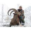 Image 2 : #FB-06 Himalayan Ibex Hunt, Pakistan