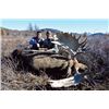 Image 2 : #FB-09 Chukotka Moose Hunt, Magadan, Russia