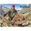 Image 2 : #FB-17 Mid-Caucasian Tur Hunt, Russia