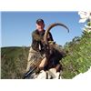 Image 1 : #FB-19 Kri-Kri Ibex and Mouflon Combo Hunt, Sapientza Island, Greece