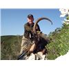 #FB-19 Kri-Kri Ibex and Mouflon Combo Hunt, Sapientza Island, Greece