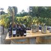 Image 2 : #FR-03 Private Wine Tasting for up to 50 People