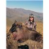 Image 2 : #FR-04 Tahr Hunt, New Zealand