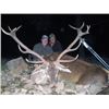 #FR-05 Red Deer, Mouflon, or Fallow Deer Hunt (Hunter’s Choice), Spain