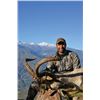 Image 2 : #FR-08 Southeastern Ibex Hunt, Spain