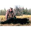 Image 3 : #FR-10 Black Bear Hunt, Alaska