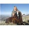 Image 2 : #FR-13 South Pacific Alpine Hunt, New Zealand