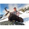 Image 2 : #FR-19 Tahr Hunt, New Zealand