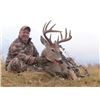 Image 2 : #FR-20 Archery Whitetail Deer Hunt, Alberta